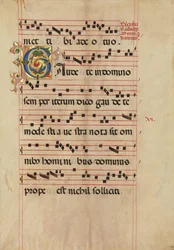 Bifolium avec initiale C feuillue, d