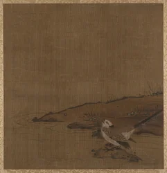 Oiseau près de l