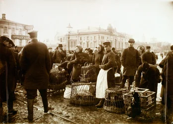 Marché aux oiseaux, place Troubnaya, Moscou, Russie
