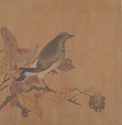 Oiseau sur une branche