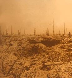 Bois du Chapitre, Vaux, nord de la France