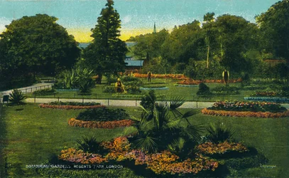Jardins botaniques, Regents Park, Londres, vers 1910