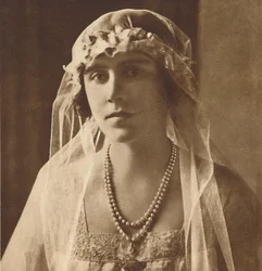 Demoiselle d