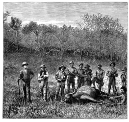 Chasseurs de buffles au Transvaal, Afrique du Sud, vers 1890