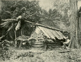 Cabane de brousse, Dandenong Ranges, Victoria