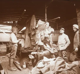 Bouchers sur une barge, Somme, nord de la France