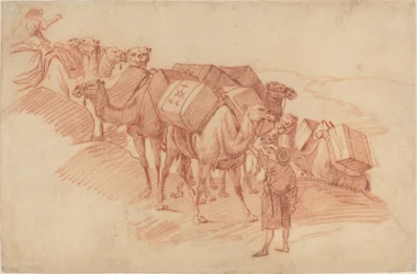 Caravane de chameaux