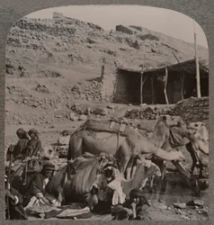Caravane de chameaux de Jerash, s