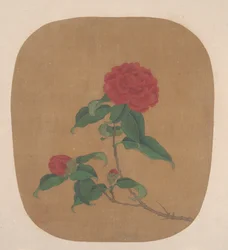 Fleurs de camélia