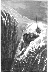 Carolus Linnaeus, scientifique et naturaliste suédois du 18ème siècle