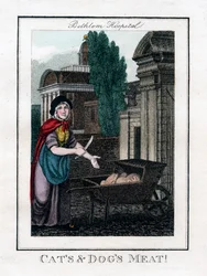 Viande de chats et de chiens!, Hôpital de Bethlem, Londres, 1805