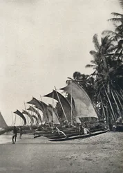 Ceylonesische Seefischerboote mit Ausleger, 1926