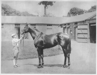 Chandon, 1911