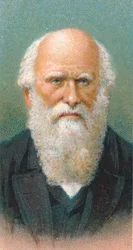 Charles Darwin 1809-1882, naturaliste britannique, 1924