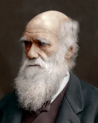 Charles Darwin, naturaliste britannique, 1878