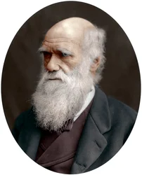 Charles Darwin, naturaliste britannique, 1878