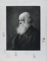 Charles Darwin, naturaliste anglais, vers les années 1860