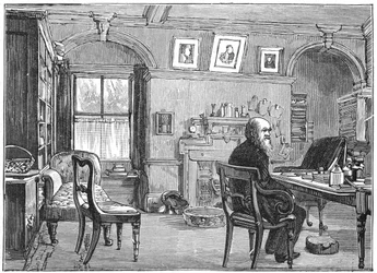 Charles Darwin, naturaliste anglais, dans son étude, c1870