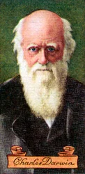 Charles Darwin, tiré d