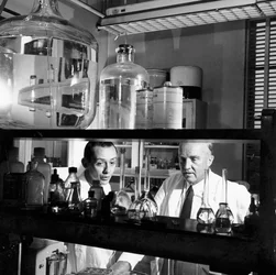 Charles Herbert Best, physiologiste canadien, 1960