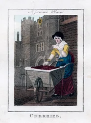 Cerises, palais de St James, Londres