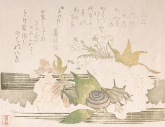 Fleurs de cerisier et un escargot, 1816