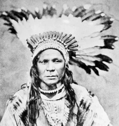 Chef Crow Flies High, c1885-90