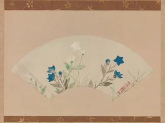 Campanules chinoises