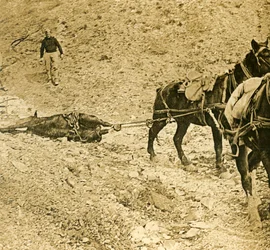 Nettoyage du champ de bataille, vers 1914-1918