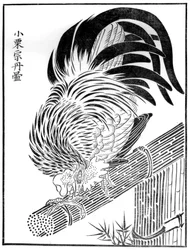 Coq, XVe siècle 1886