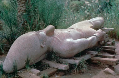 Statue colossale de Ramsès I in situ, Memphis, Égypte, 13ème siècle av. J.-C.