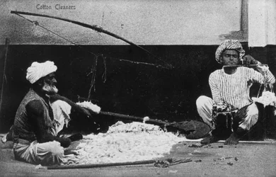Nettoyeurs de coton, Inde, XXe siècle