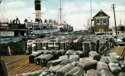 Quais de coton, La Nouvelle-Orléans, Louisiane, USA, début du 20ème siècle