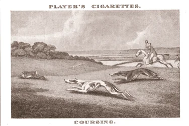 Coursing-11, 1924