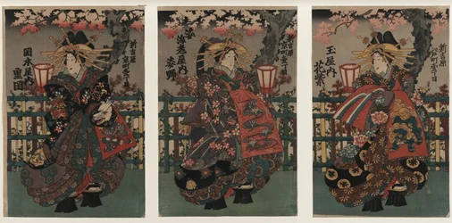 Courtisanes Shigeoka, Sugatano et Hanamurasaki. Triptyque. De la série Les Beautés du Yoshiw