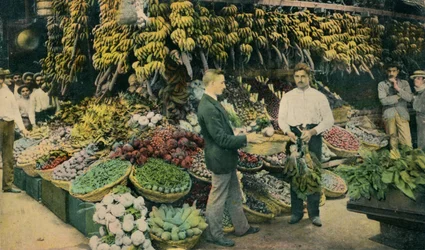 Magasin de fruits cubain, vers 1910
