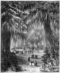 Bosquet de cyprès à Chapultepec, Mexico, 1877