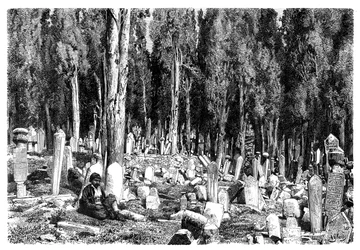 Cèdres dans le cimetière de Scutari, Turquie, 1895