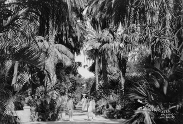 Palmiers-dattiers, Palerme, Sicile, Italie, vers 1920-1930