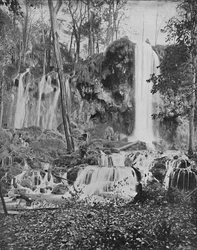 Chutes de Deer Lick, Mineral Springs, Virginie