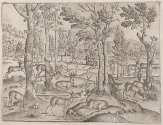 Cerfs dans la forêt, vers 1520
