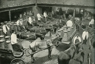 Camionnettes de livraison partant du dépôt central de MM. Freeth et Pocock à Vauxhall, 1902