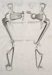Diagramme pour mors de cheval