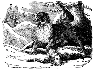 Chien de l