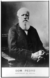 Dom Pedro, empereur du Brésil, fin du 19ème siècle