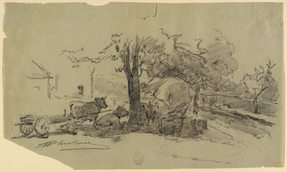 Dessin (États-Unis)