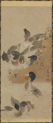 Canards, période Edo, XVIIIe siècle