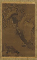 Canards, torrent et rochers surplombants