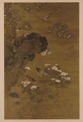 Canards sur le ruisseau d