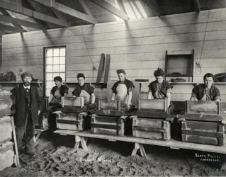 Mélange de dynamite, Ardrossan, 1897